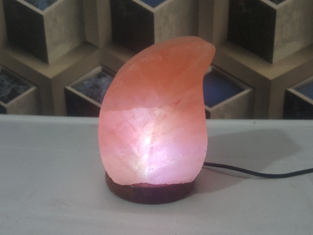 himalayan usb leaf lamp (pink)